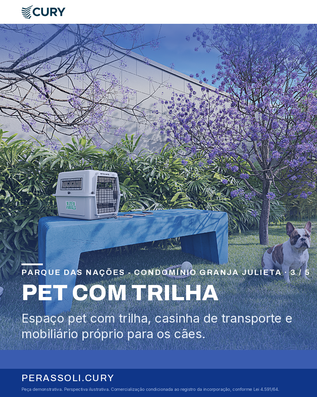ÁREA PET