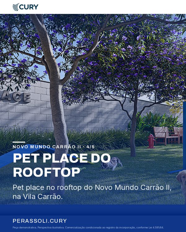PET PLACE DO ROOFTOP